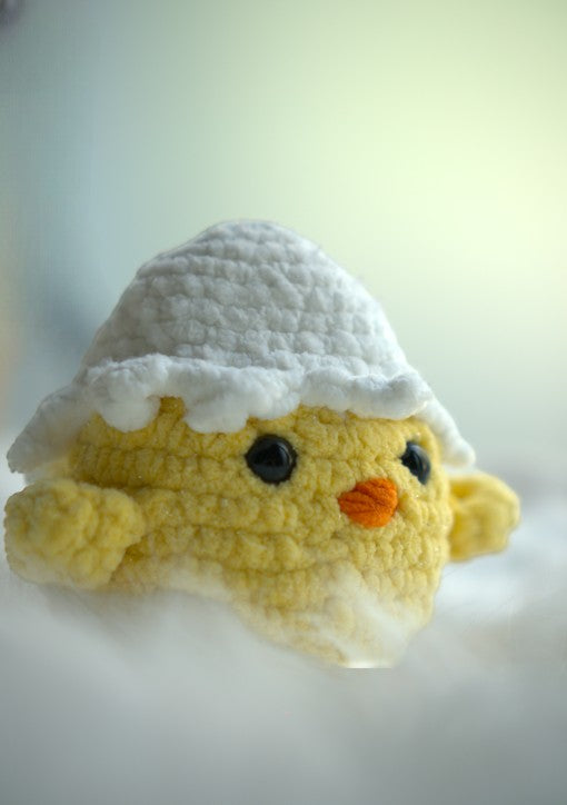 Plumetto, le petit poussin