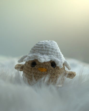 Plumetto, le petit poussin